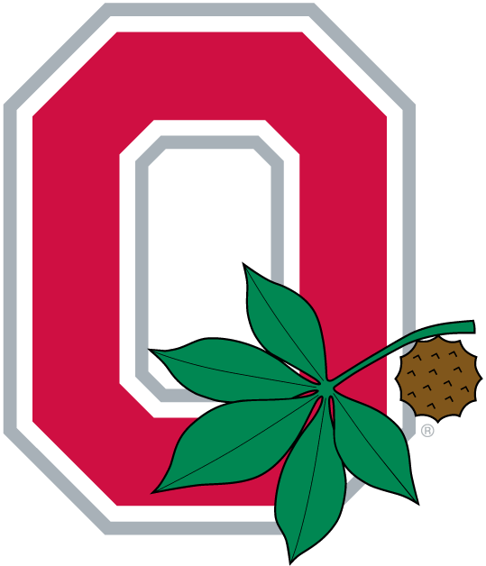 Ohio State Buckeyes 1968-Pres Alternate Logo v2 diy DTF decal sticker